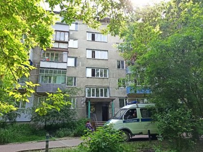 Мужчина из Пензы досмерти забил свою 74-летнюю мать