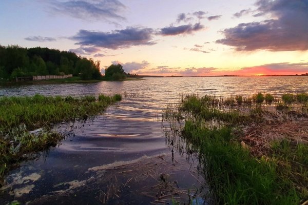 В Пензенской области открыт сезон охоты на пернатую дичь