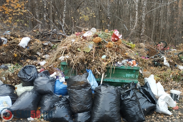 komissiya-obnaruzhila-na-penzenskikh-kladbishchakh-nezakonnye-svalki