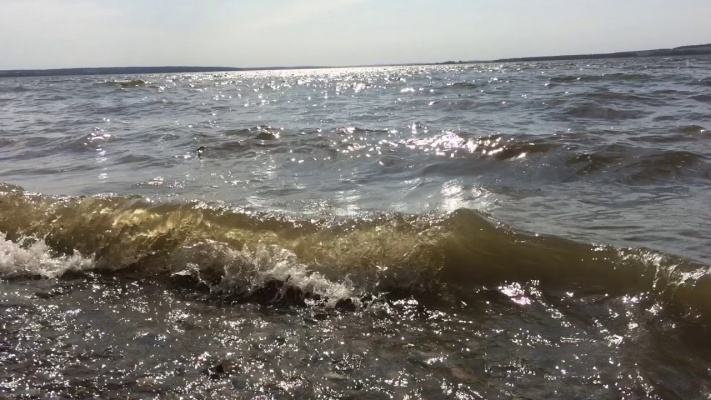 В пензенских водоемах обнаружили тела двух человек