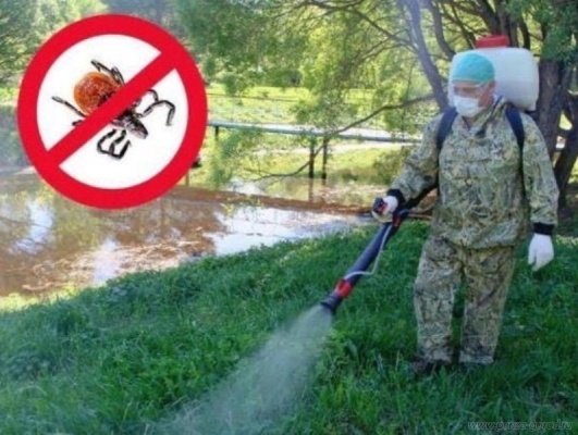 Стала известна дата закрытия Олимпийской аллеи в Пензе на обработку от клещей