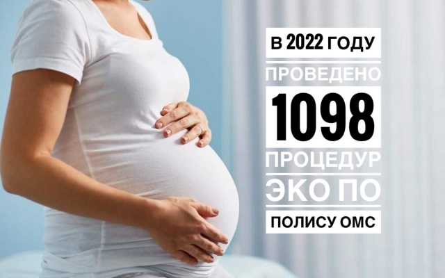 В Пензенской области за год провели почти 1 100 процедур ЭКО по ОМС