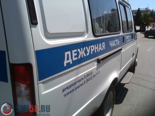 В Пензе разыскивают подозреваемого в двух кражах