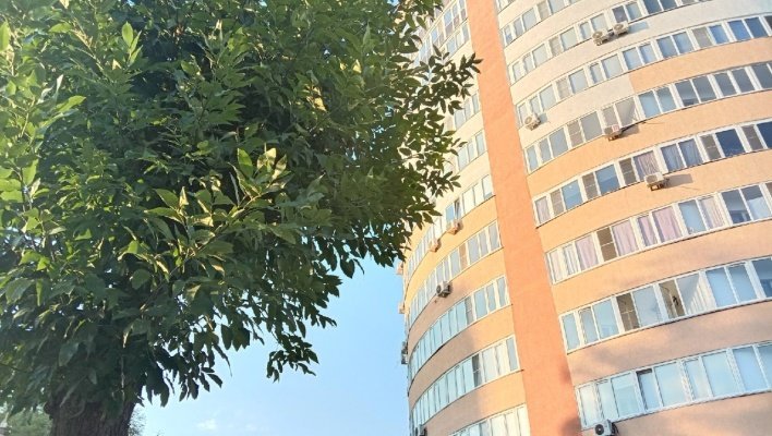Жара в Пензенской области немного отступит