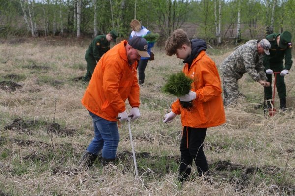 Пензенцев приглашают на Всероссийскую акцию «Сохраним лес!»