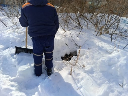 В Пензе домашняя собака упала в колодец