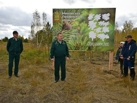 В Лопатинском районе высадили более тысячи дубов