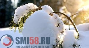 25 февраля в Пензенскую область придет весна