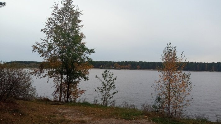 В четверг в Пензенской области усилится ветер