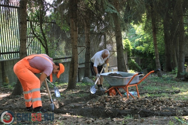 v-penzenskom-zooparke-nachali-obustraivat-voler-dlya-volkov