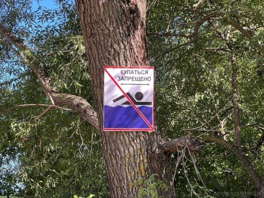 За лето на пензенских пляжах допустили более 400 нарушений