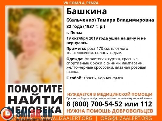 v-penze-prekrashcheny-poiski-82-letney-dachnitsy