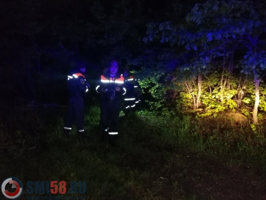 В лесу в Пензенском районе заблудился мужчина