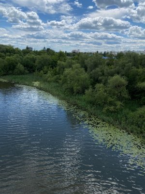 Пензенцам обещают похолодание на следующей неделе