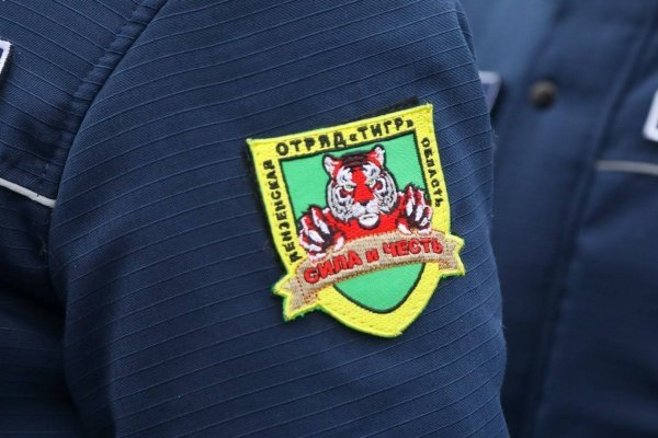 В Пензенской области «Тигры» помогли пресечь 22 преступления