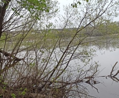 На Суре в Пензе утонул 40-летний мужчина