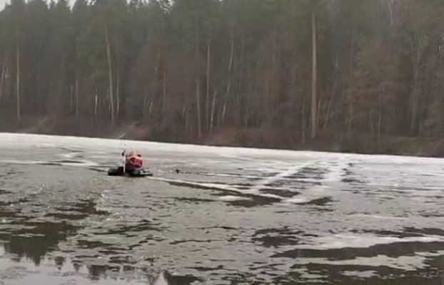 В Заречном домашняя собака провалилось под лед на прогулке