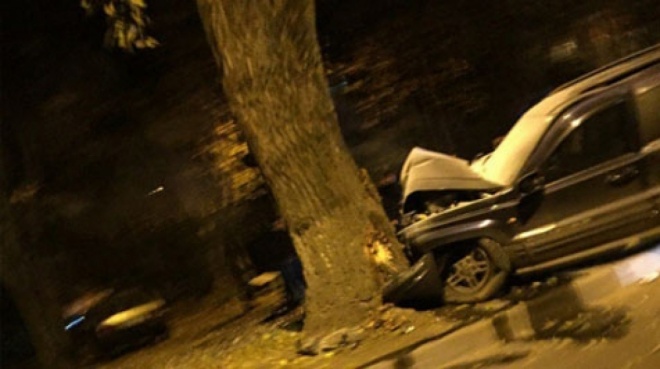 voditel-lend-kruzera-uletel-s-trassy-v-derevo-est-postradavshie