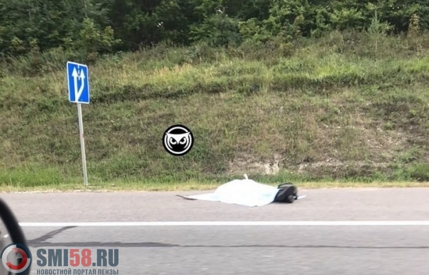 31-летний мужчина погиб под колесами фуры в Пензенском районе