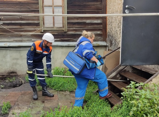 В Пензе собака не пускала скорую помощь к больному хозяину