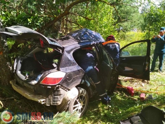 Один человек погиб и трое пострадали в ДТП в Бессоновском районе