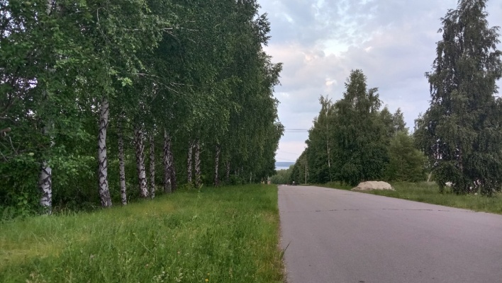 В субботу в Пензенской области сохранится прохладная погода