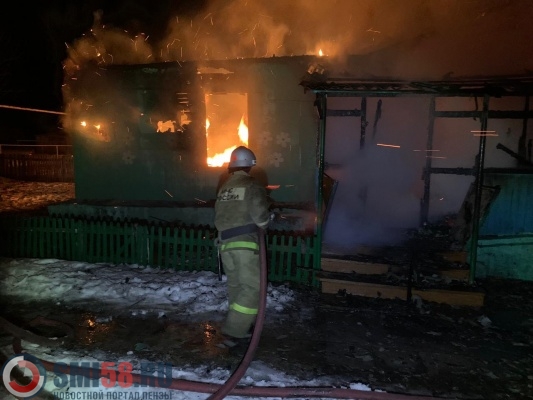 В Шемышейском районе семь спасателей тушили дом