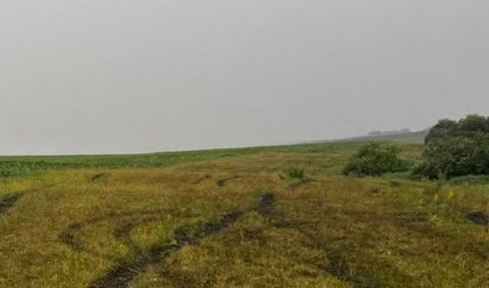 Следователи разбираются в гибели пастуха от удара молнией в Мокшанском районе