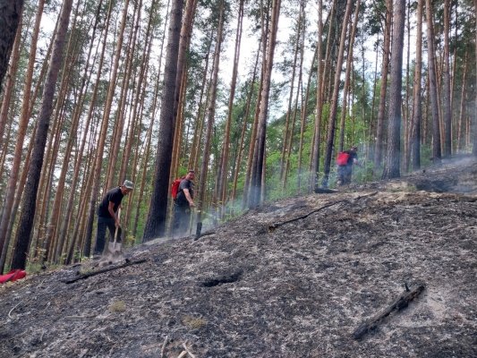 В Пензенской области ликвидирован 23-й лесной пожар