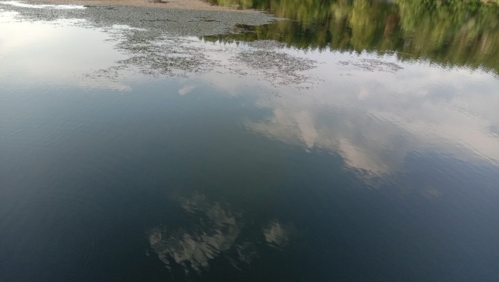 Подросток в Городищенском районе утонул во время празднования выпускного