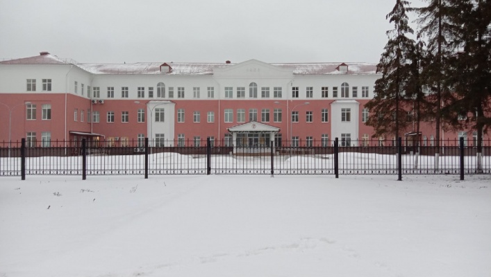 В новогодние праздники пациентами травмпунктов стали более 1 300 пензенцев