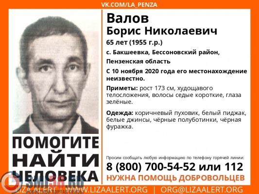 Волонтеры «Лизы Алерт» занялись поисками Бориса Валова из Бессоновского района