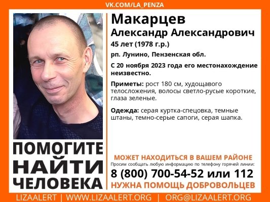 В Лунино пропал 45-летний Александр Макарцев