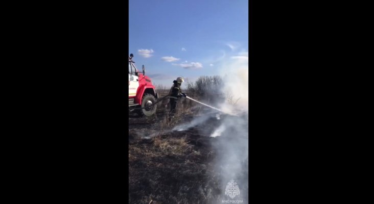 В Бессоновском районе зафиксировано самое крупное возгорание сухой травы
