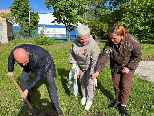 В Пензе в память о героях Отечества высадили аллею с яблонями и грушами