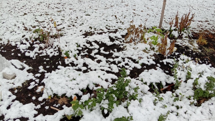 В пятницу в Пензенской области похолодает до -5ºС