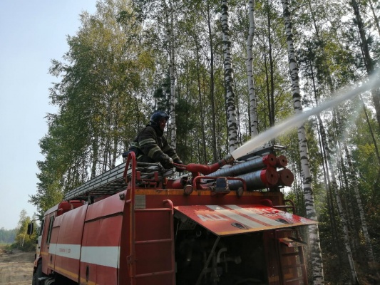 Пензенские спасатели помогли остановить распространение пожара в Нижегородской области