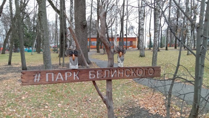 Парк Белинского в Пензе снова выиграл голосование за благоустройство