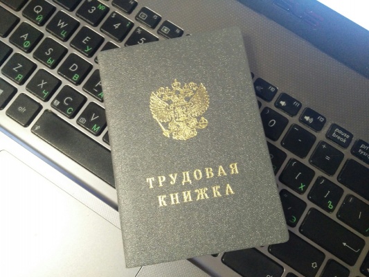 Вице-мэр Пензы незаконно совмещал службу с постом в частной фирме