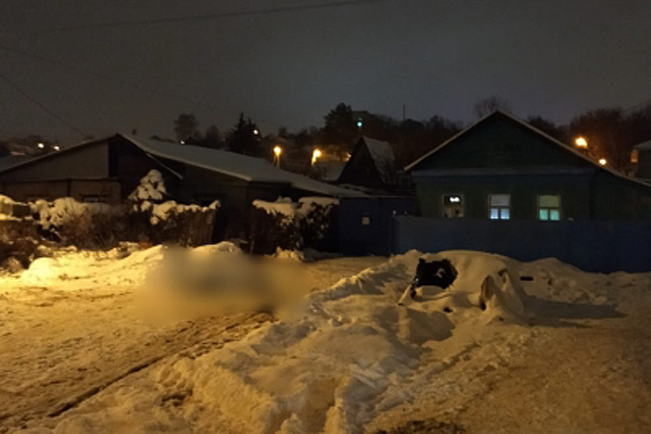 Следком установит причины гибели двух человек на пожаре в Пензе