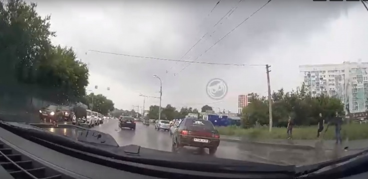 По улице Луначарского в Пензе пробежал лось