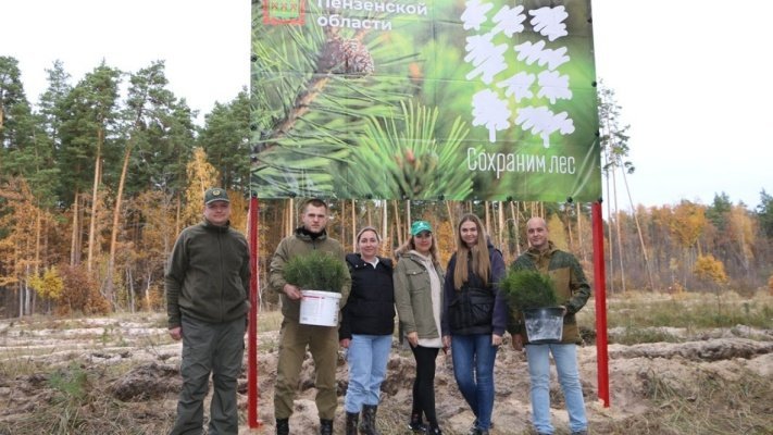 В Пензенской области в октябре высадят более 50 тысяч саженцев в рамках акции «Сохраним лес»